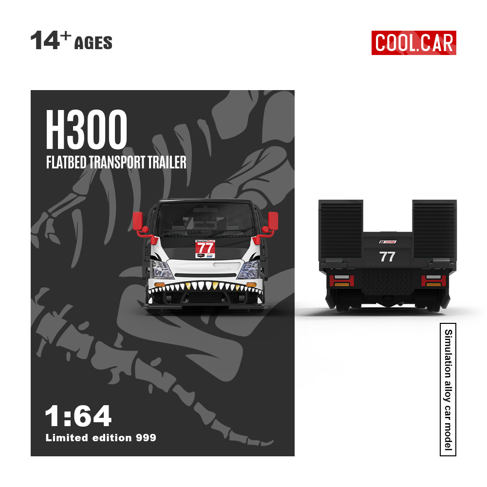 Крутая модель автомобиля 1:64  – обзор и цена Car Accessories Company